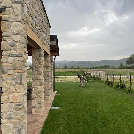 Palmhouse Cristian *