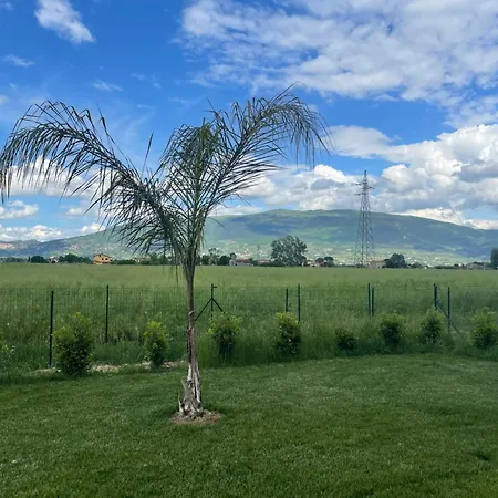 Palmhouse Cristian Casa de Férias *