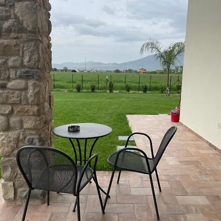 Palmhouse Cristian *