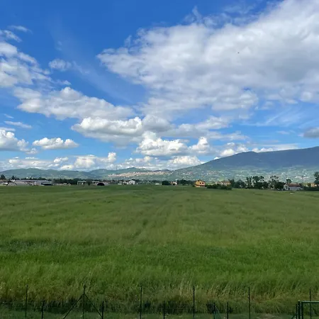 Palmhouse Cristian * Cannara