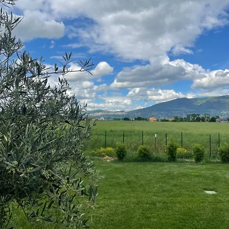 Palmhouse Cristian Cannara