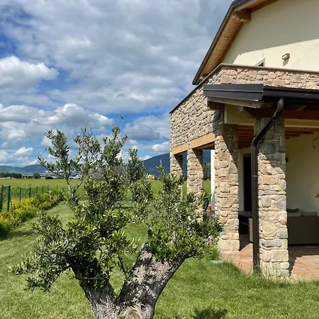 Palmhouse Cristian *