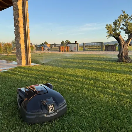 Casa de Férias Palmhouse Cristian